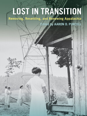 cover image of Lost in Transition